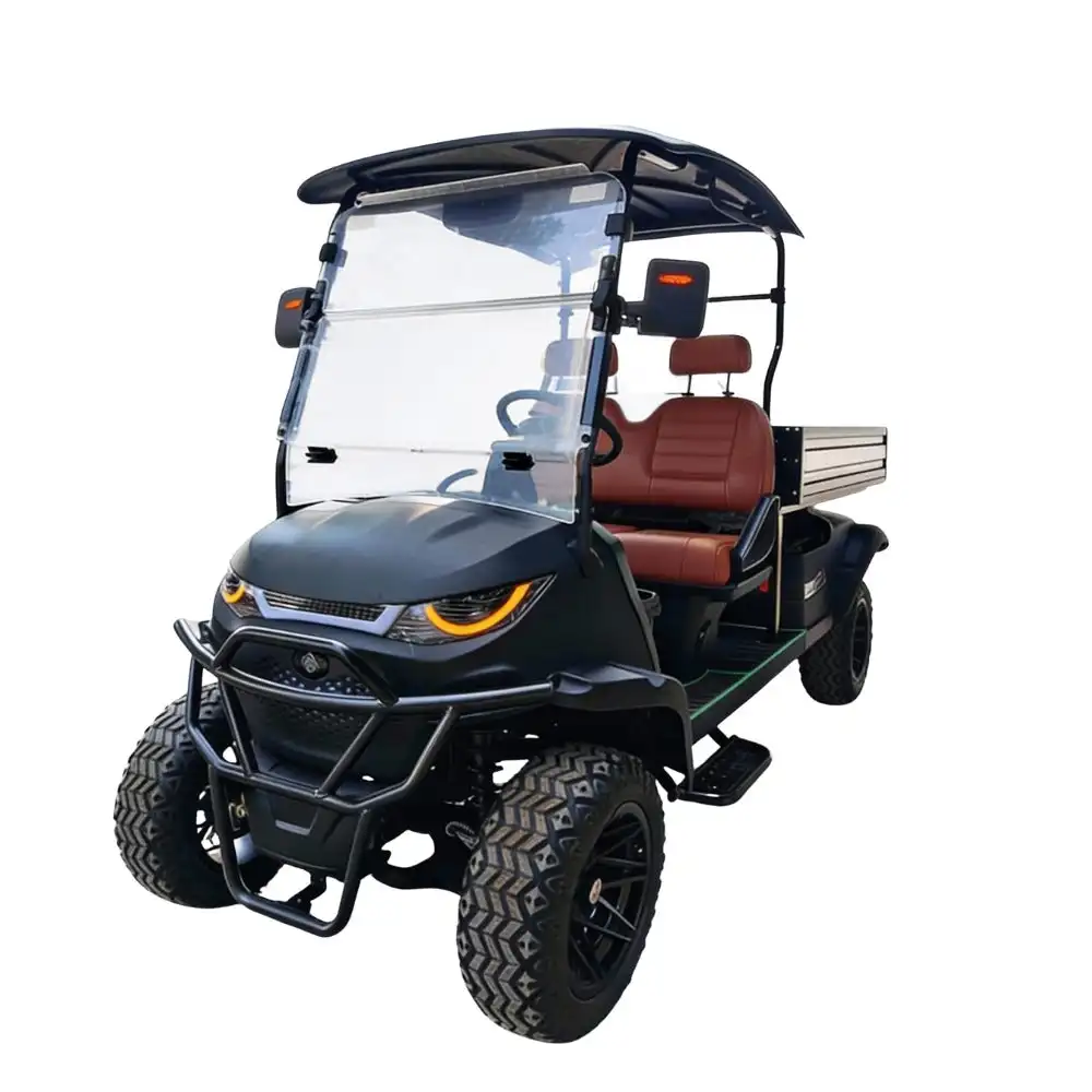 DISCOUNT SALE ON 2026 New Lead-acid Battery Electric Golf Cart 2 Seats 60V 45km/h Off-road Tire Cargo Box Electric Golf Cart