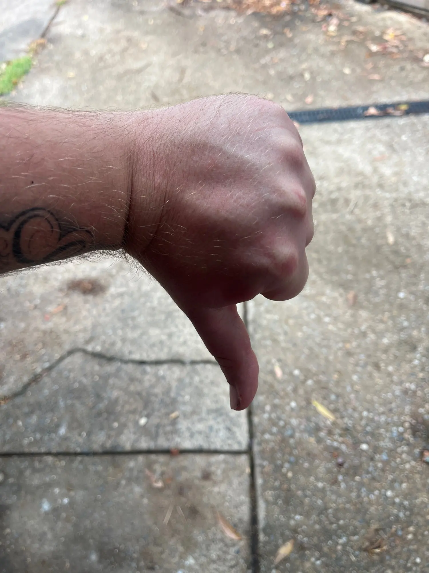 Customer review photo