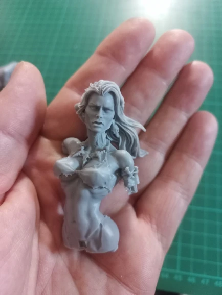Buyer photo of this resin kit