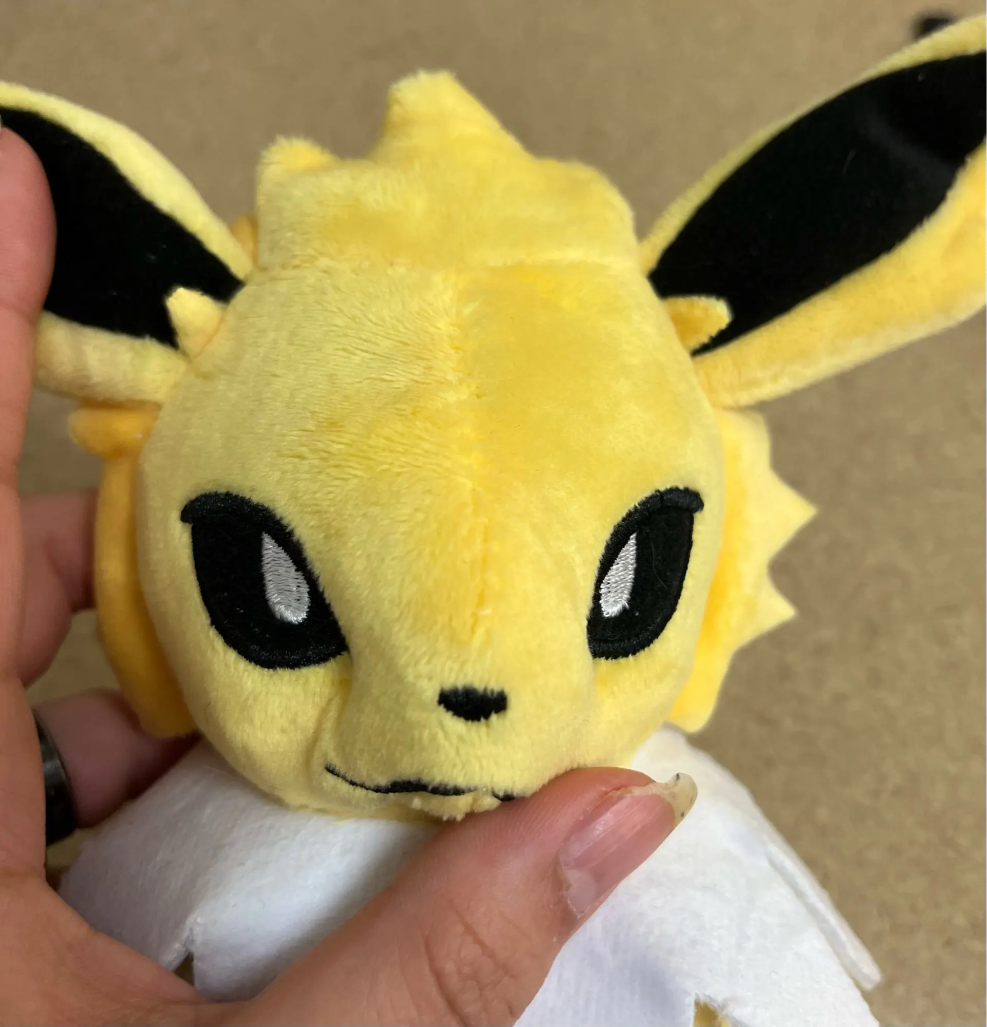 Customer review photo