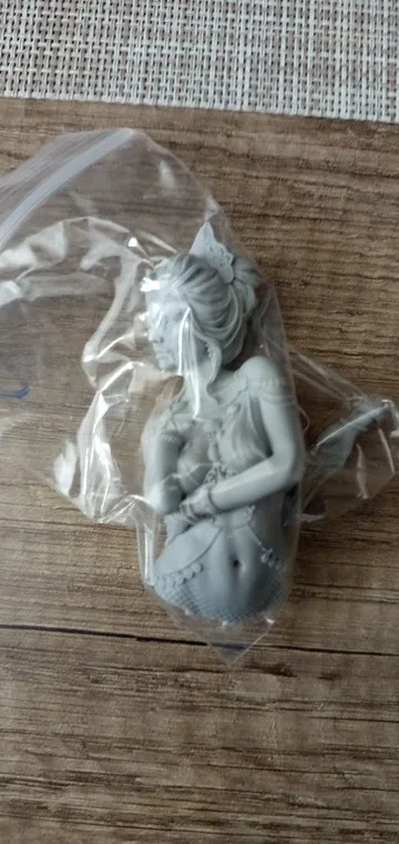 Buyer photo of this resin kit