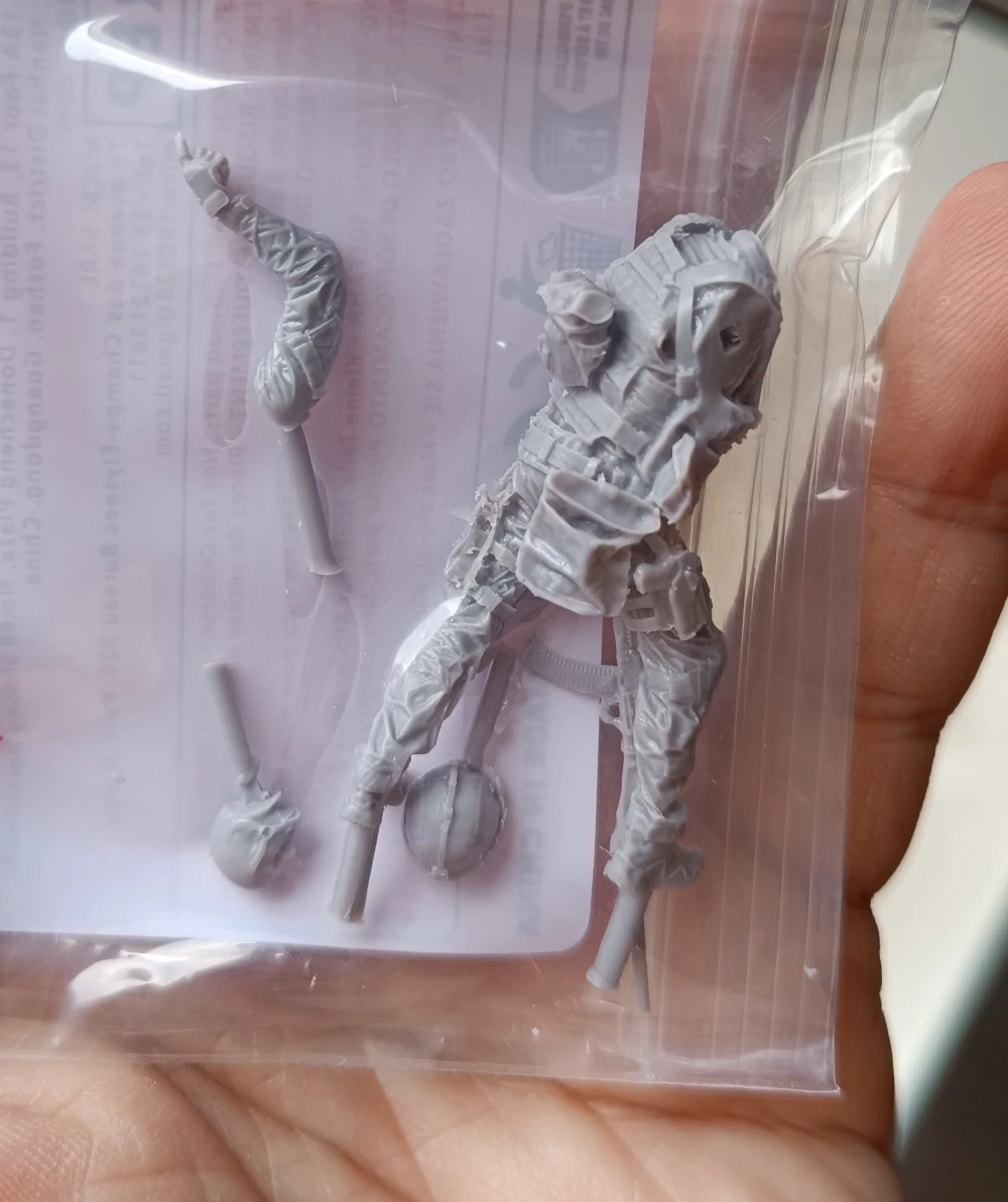 Buyer photo of this resin kit