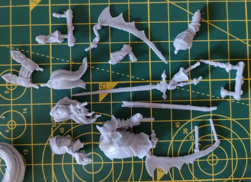 Buyer photo of this resin kit