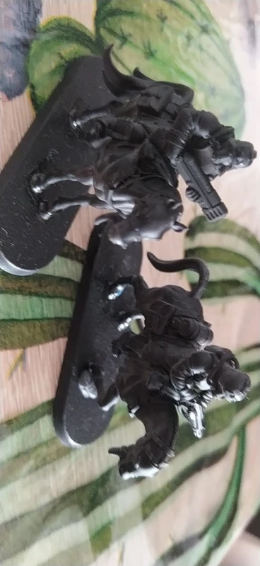 Buyer photo of this resin kit