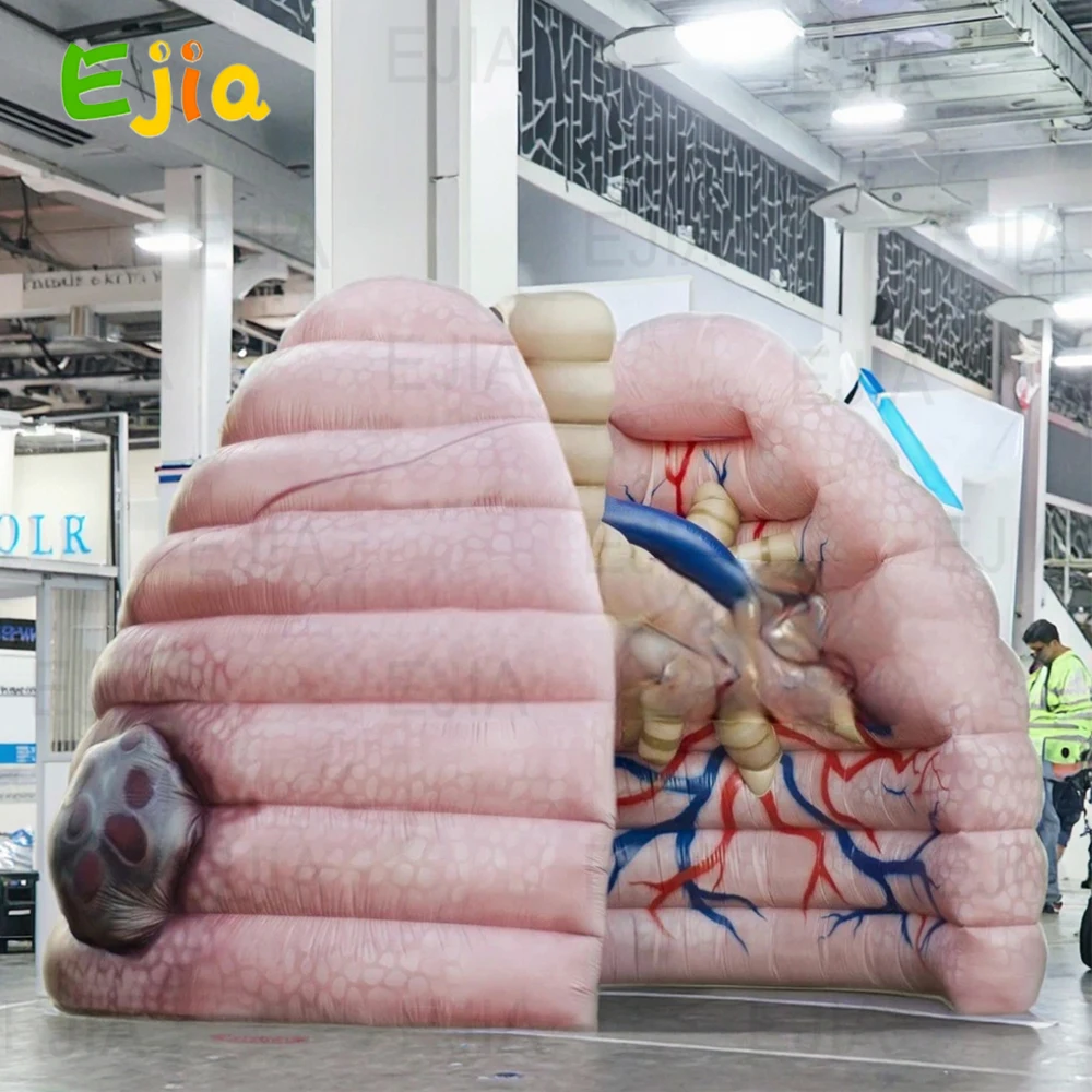Modello polmonare gonfiabile gigante -10 piedi/3 m di altezza, modello gonfiabile del corpo umano di Oxford 210D per esposizioni di insegnamento medico scolastico