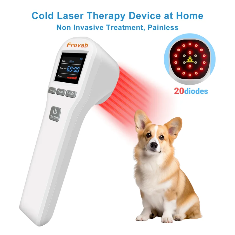 

650nm 808nm Cold Laser for Pain Dog Laser Treatment for Arthritis Low Level Laser Therapy Dog Help Sports Injuries Recovery