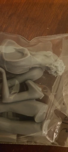 Buyer photo of this resin kit