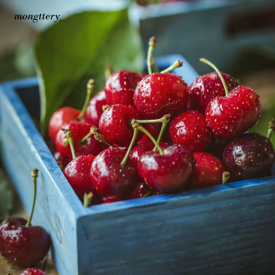몽때리 차량용 방향제 디퓨저