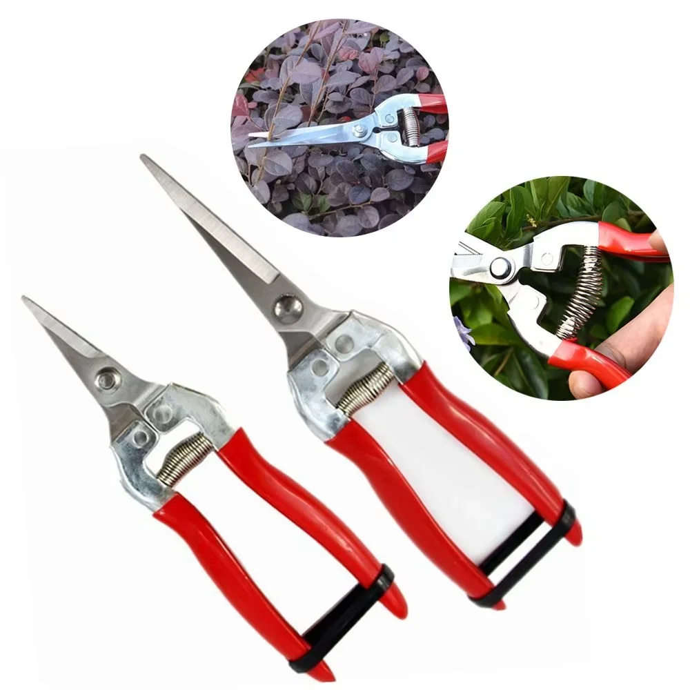 Pruning Shears Anti-slip Garden Scissors Micro-Tip Straight Curved Snips Plant Leaf Trimmer Fruit Harvest Hand Tool Set