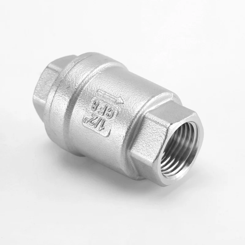 Válvula de retención unidireccional 1/4 "3/8" 1/2 "3/4" 1 "rosca hembra BSP Válvula de no retorno de acero inoxidable 304 para sellado de accesorios de tubería de bomba de agua