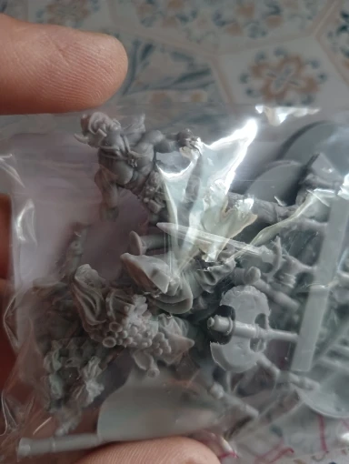 Buyer photo of this resin kit