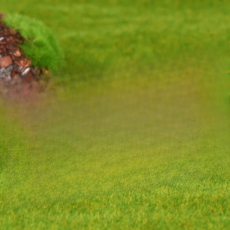 Nid de fourmis en acrylique pour animaux de compagnie, zone d'alimentation, accent, ferme, insectes, alimentation, conception ronde, nourriture et eau, 1 pièce