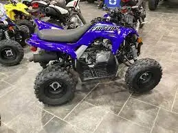 NEW_Raptor 90 ATV