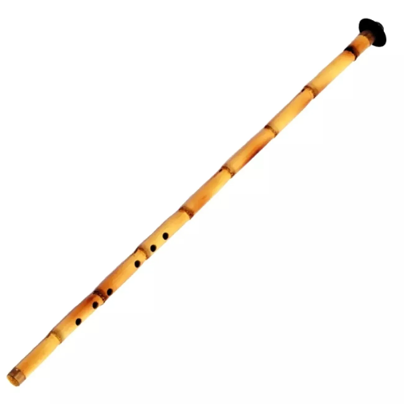 Turkish Ney for Beginners Key B (KIZ NEY) Cane Ney For New Students Case Flute Turkish Classical Music Woodwind