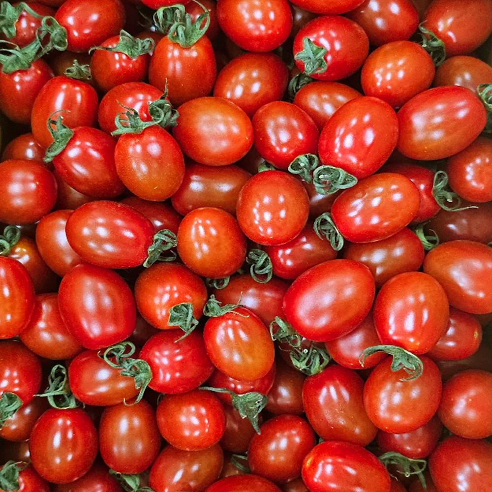 عناب محلي ممتاز ، سكر ليمون حلو وحامض ، عالي ، 1 ، 2 ، 2 ، الاختيار الثالث