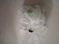 Imagen de reseña 3