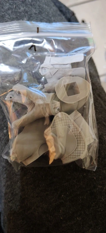 Buyer photo of this resin kit