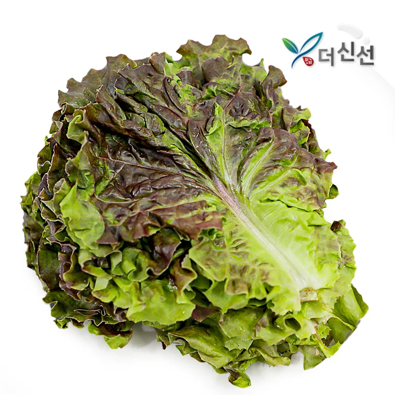 500g GAP certified red lettuce