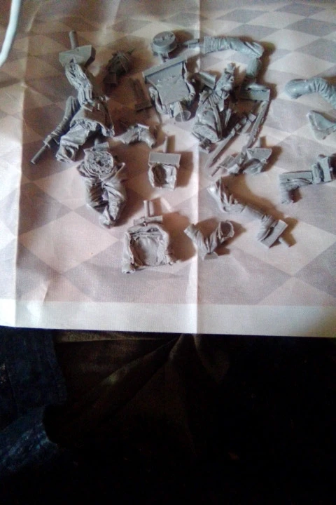 Buyer photo of this resin kit