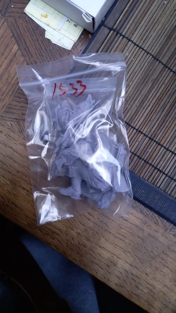 Buyer photo of this resin kit