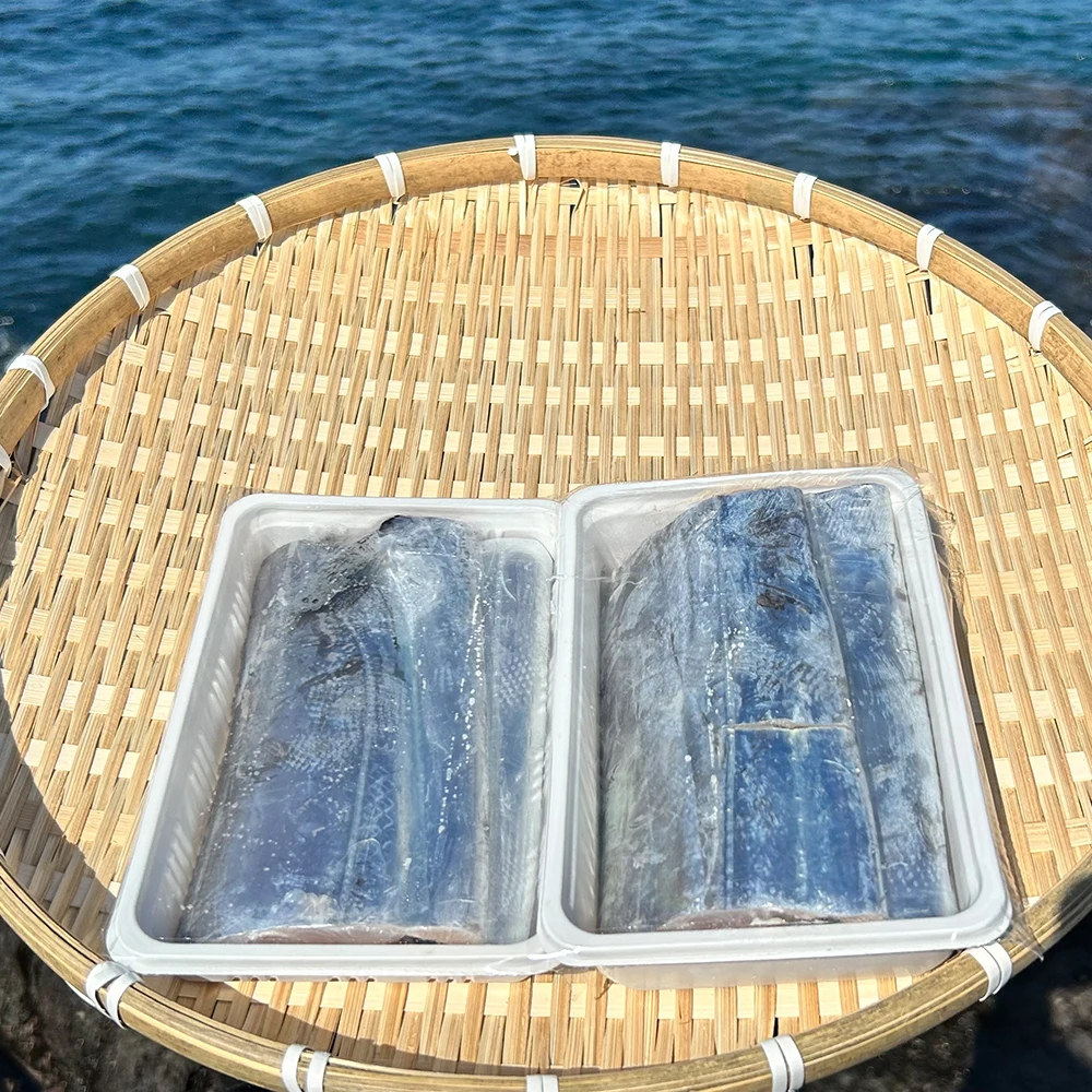 갈치 제주 은갈치 손질갈치 제주도갈치
