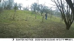 Imagen de reseña 2