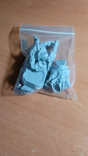 Buyer photo of this resin kit