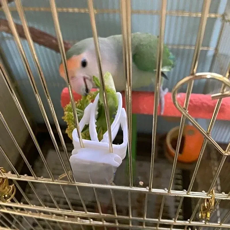 Mignon petit animal de compagnie oiseau support de nourriture perroquet Fruits légumes pince seiche os mangeoire dispositif pince Cage à oiseaux accessoires Oiseaux