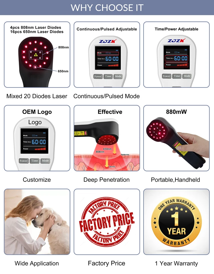 660mW koudlaser Lllt-licht voor tendinitis en rugbehandeling Fysiotherapie en revalidatie met 4x808nm 16x650nm-diodes