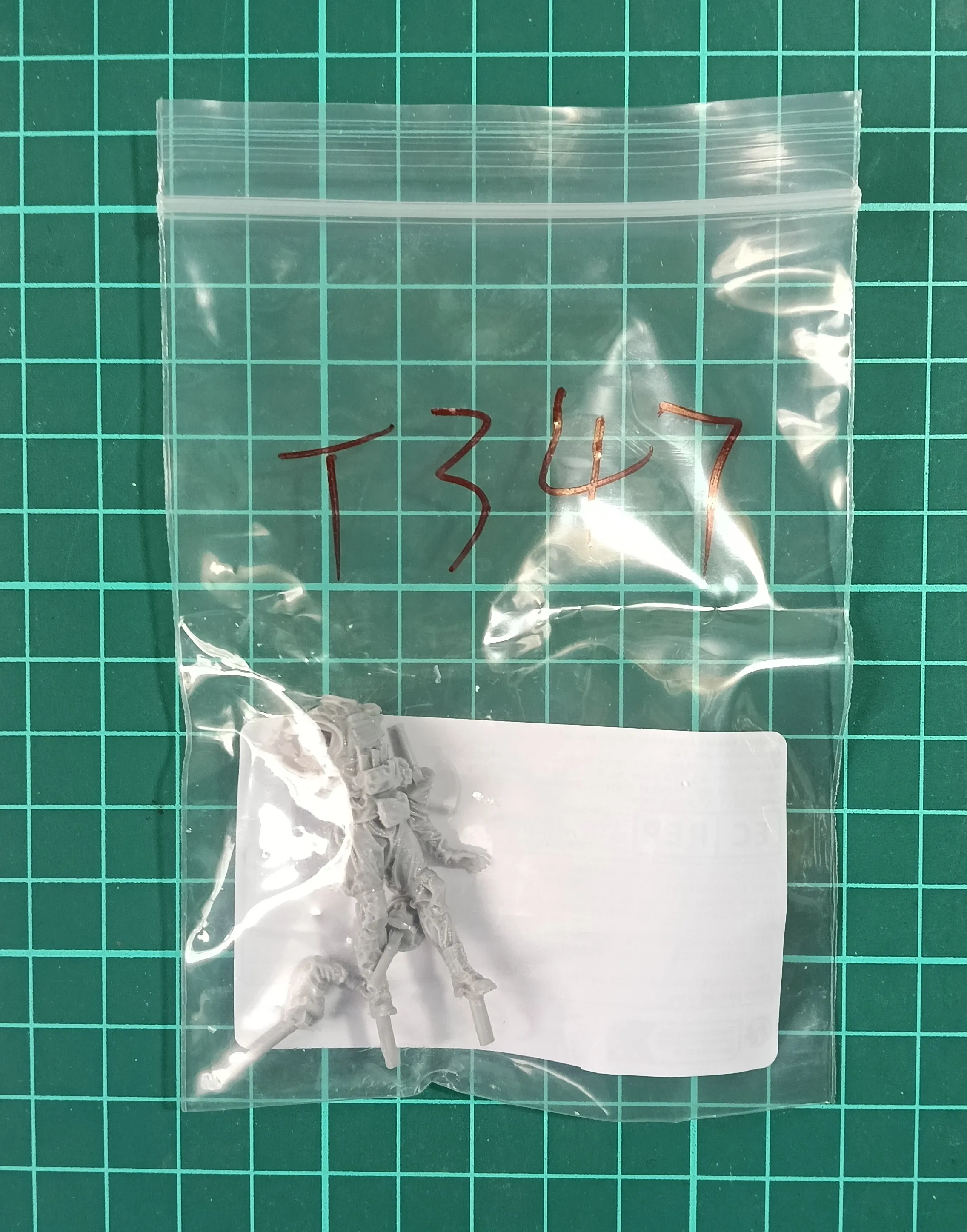 Buyer photo of this resin kit