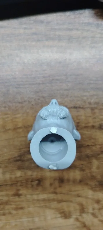 Buyer photo of this resin kit