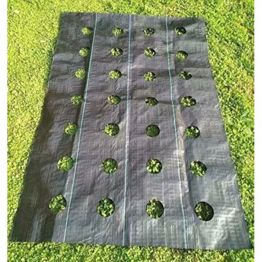 

3 ft. x 12 ft. 3.0 oz. Easy-Plant Weed Block for Raised Bed Outdoor Garden Weed Rugs Garden Mat, Planting Hole 4 in. Dia