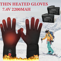 Thin Heated Gloves with Rechargeable Battery for Men and Women, Electric Hiking Gloves, Ski Heating, Camping Working Snow Biking