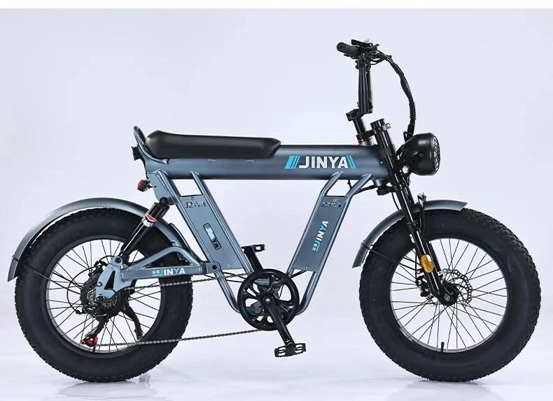 2025 New Dirt Bikes Bike Mountain Electric Fat Tire Ebike Electric City Bike 48v Electric Sport Lithium Battery 48V 7 Speed