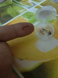 Imagen de reseña 2