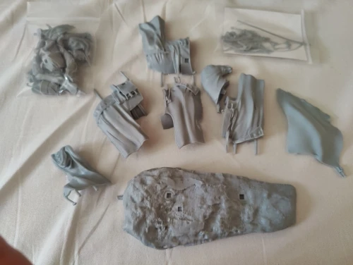 Buyer photo of this resin kit