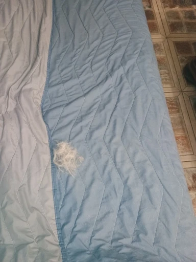 실물 포토 리뷰
