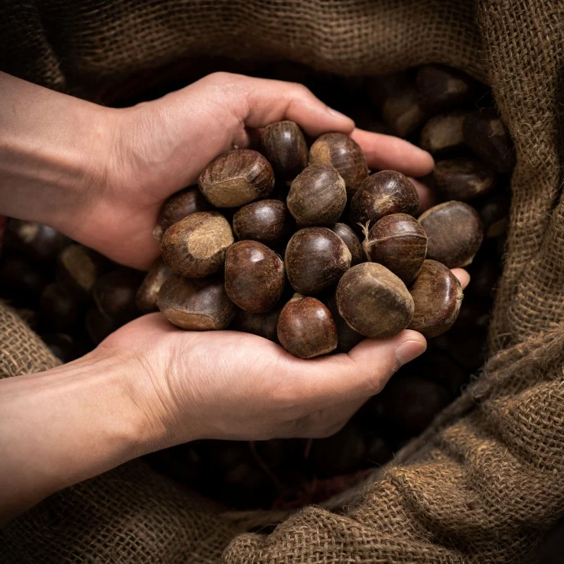24년 통관 햇 약단밤 생율밤 1kg