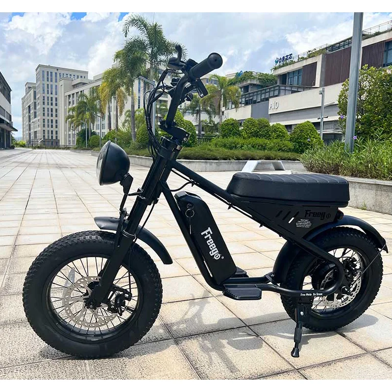 

FREEGO M1 Mountain Electric bicycle 48V10.4AH Lithium Battery City E-Bike Mini Electric Motorcycle for Child Electric Bicycle