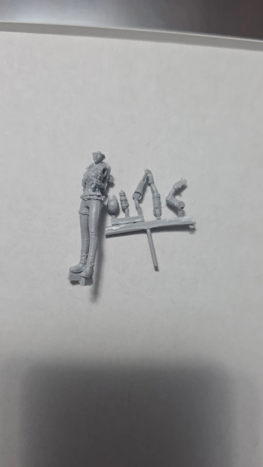 Buyer photo of this resin kit