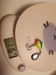 Imagen de reseña 1