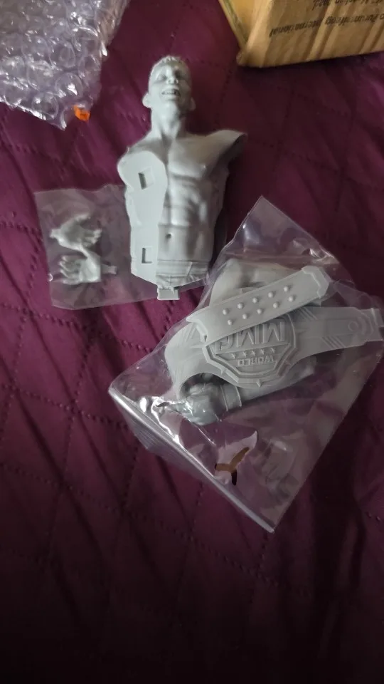 Buyer photo of this resin kit