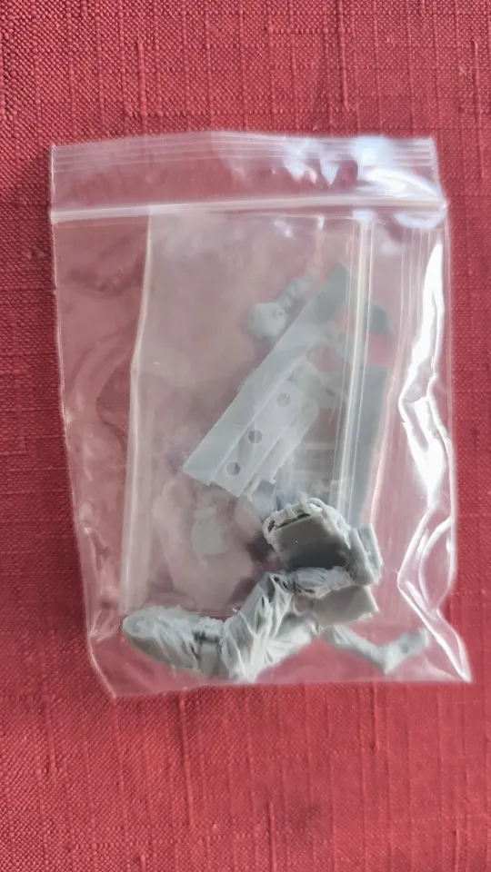 Buyer photo of this resin kit
