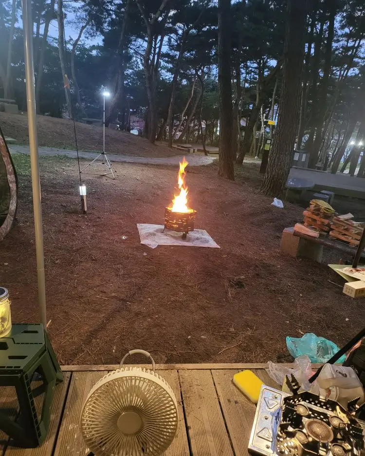 실물 포토 리뷰