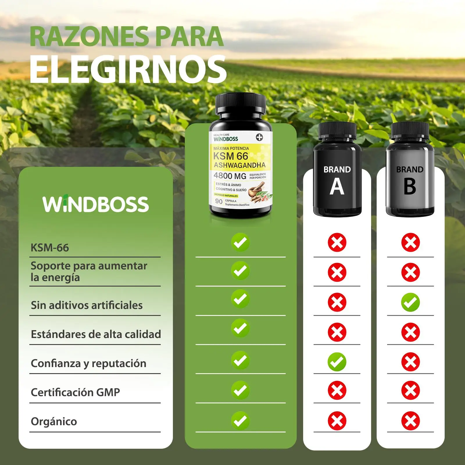 كبسولات Windboss Ashwagandha Ksm-66 4800Mg، مكمل Ashwagandha العضوي، خالي من الغلوتين، غير Gmo، نباتي، مع فلفل أسود لامتصاص أفضل، ودعم النوم - 90 كبسولة