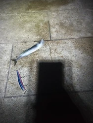 Imagen de reseña 1