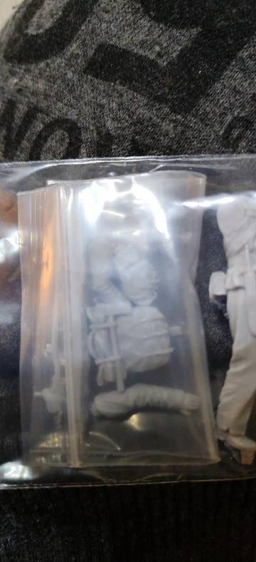Buyer photo of this resin kit