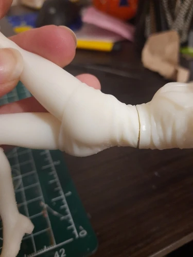Buyer photo of this resin kit