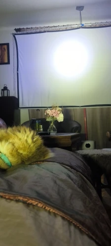 실물 포토 리뷰