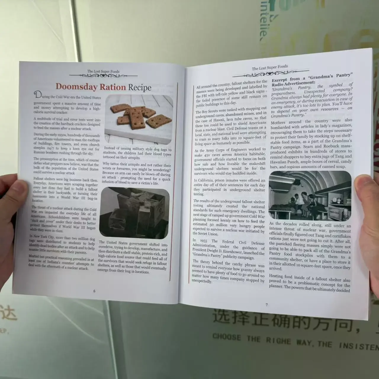 Un Nuovo Libro di Sopravvivenz - Food Storage Guide recensione e prezzo